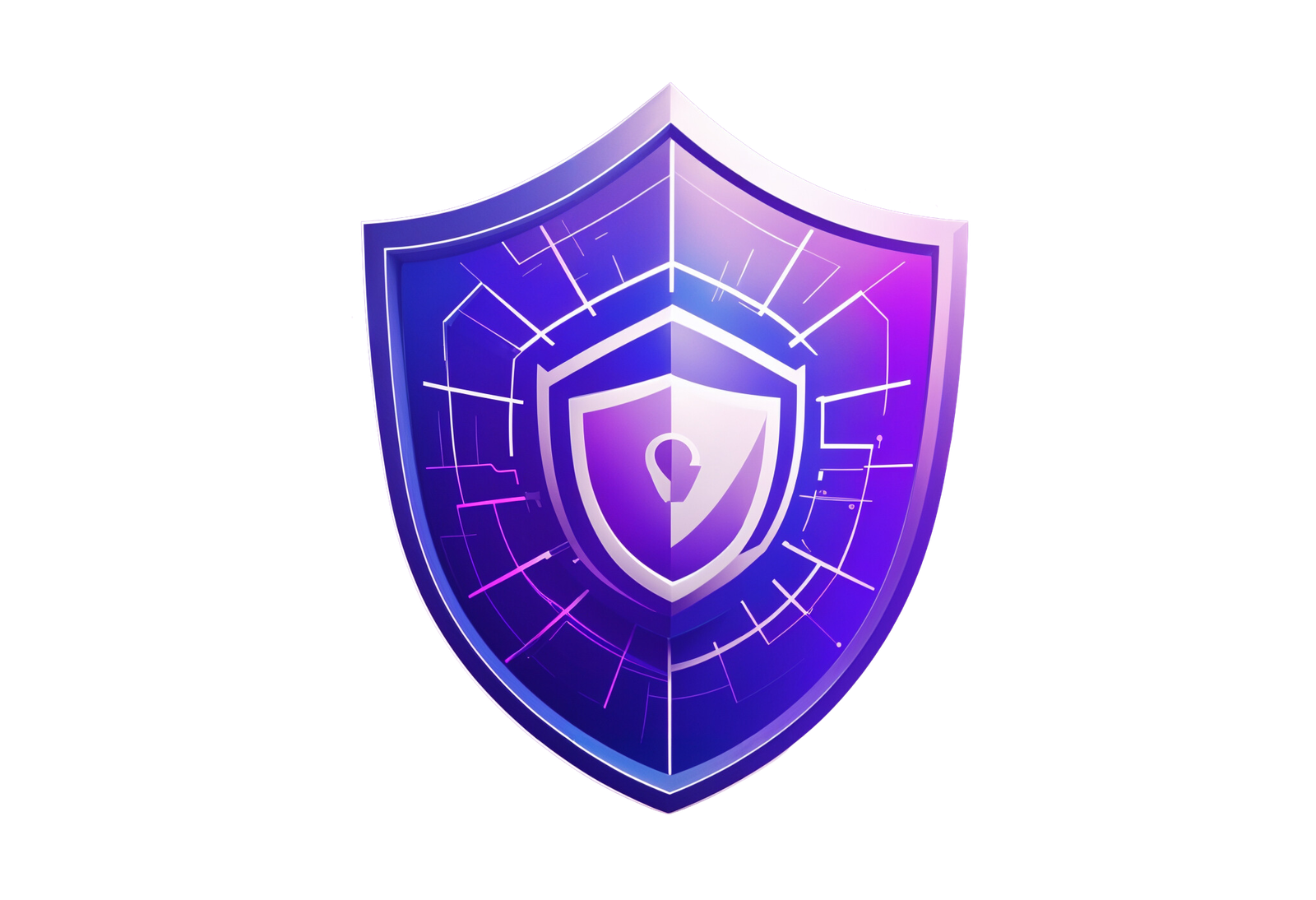 A cybersecurity expert conducting penetration testing on a web application