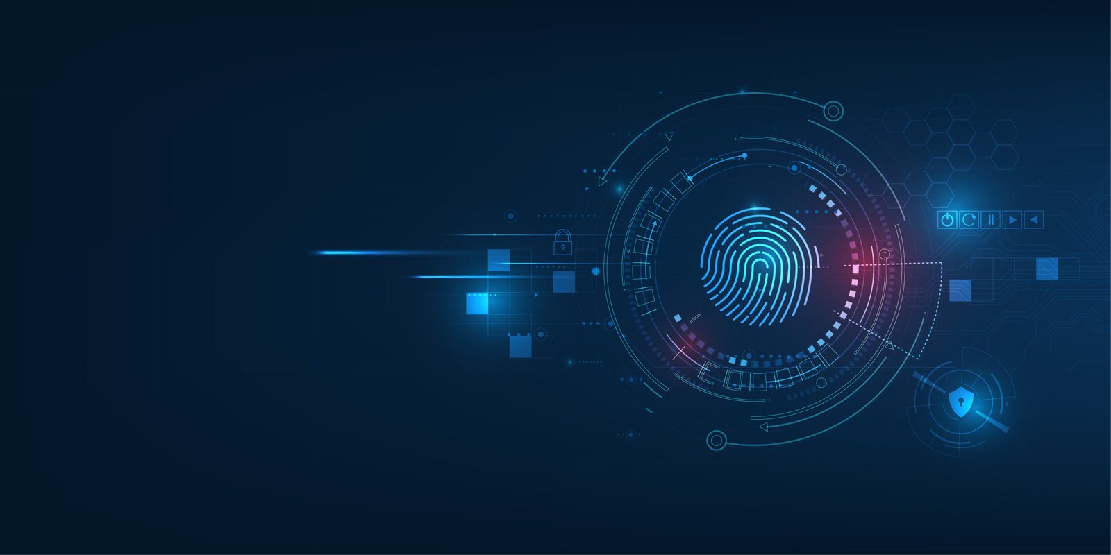 Future of Biometric Security